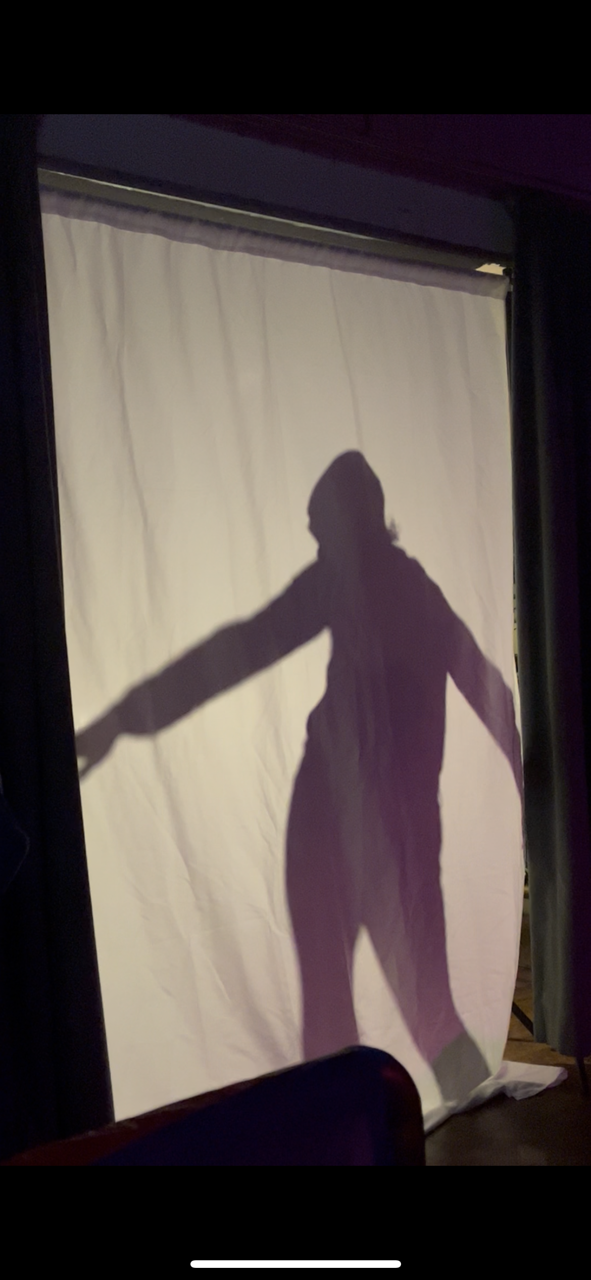 Shadow silhouette performance at Queeraoke